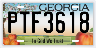 GA license plate PTF3618