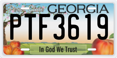 GA license plate PTF3619