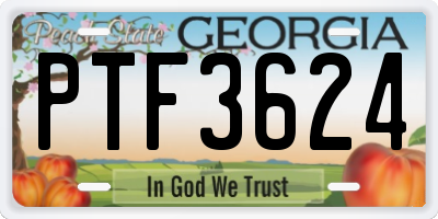 GA license plate PTF3624
