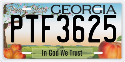 GA license plate PTF3625