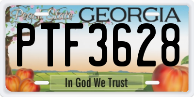 GA license plate PTF3628