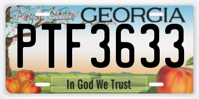 GA license plate PTF3633