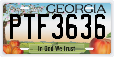 GA license plate PTF3636