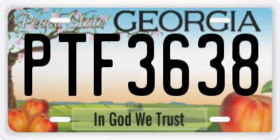 GA license plate PTF3638