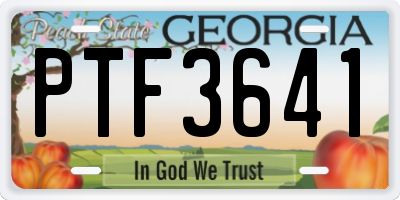 GA license plate PTF3641