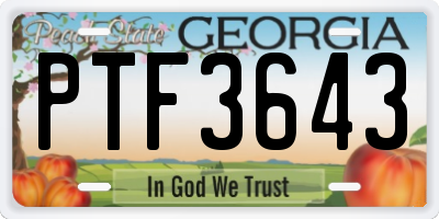 GA license plate PTF3643