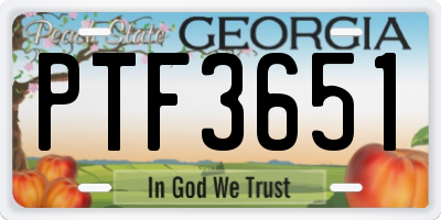 GA license plate PTF3651