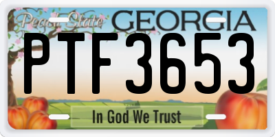 GA license plate PTF3653