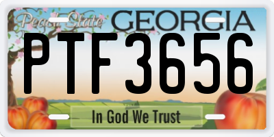 GA license plate PTF3656