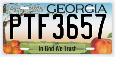 GA license plate PTF3657