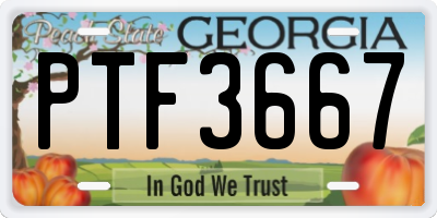 GA license plate PTF3667