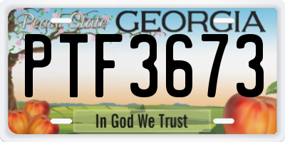 GA license plate PTF3673