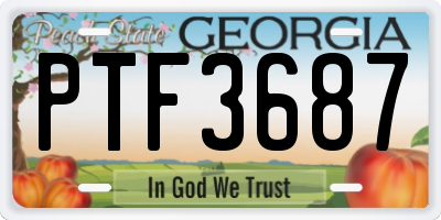 GA license plate PTF3687