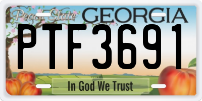 GA license plate PTF3691