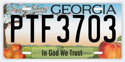 GA license plate PTF3703