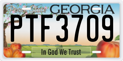 GA license plate PTF3709