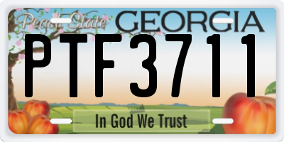 GA license plate PTF3711