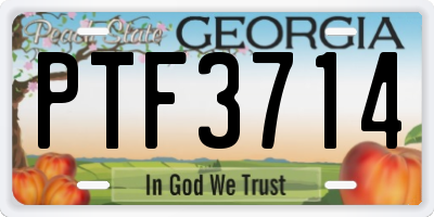 GA license plate PTF3714