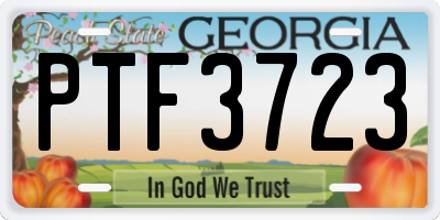 GA license plate PTF3723