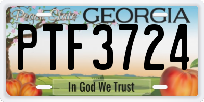 GA license plate PTF3724