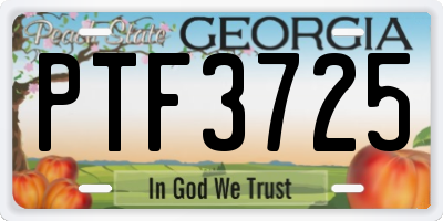 GA license plate PTF3725