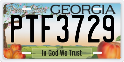 GA license plate PTF3729
