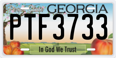 GA license plate PTF3733
