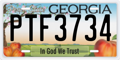GA license plate PTF3734
