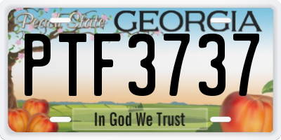 GA license plate PTF3737