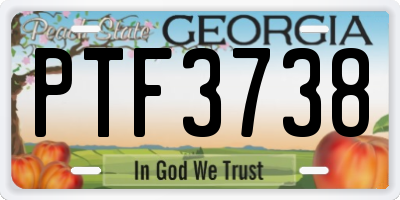 GA license plate PTF3738