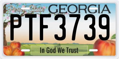 GA license plate PTF3739