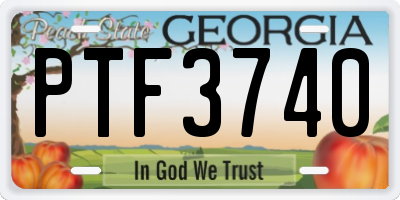 GA license plate PTF3740