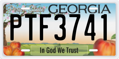 GA license plate PTF3741
