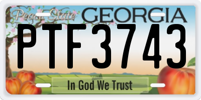 GA license plate PTF3743
