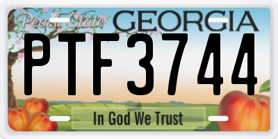 GA license plate PTF3744