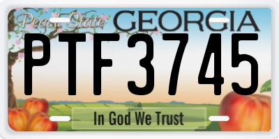 GA license plate PTF3745