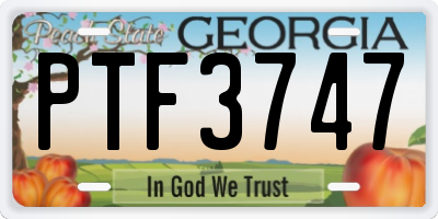 GA license plate PTF3747