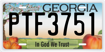 GA license plate PTF3751