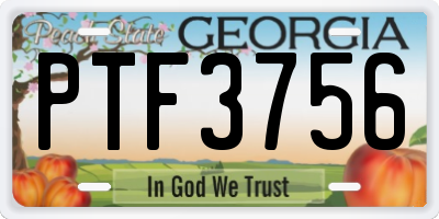 GA license plate PTF3756