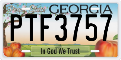 GA license plate PTF3757