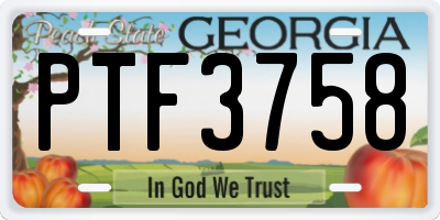 GA license plate PTF3758