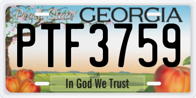 GA license plate PTF3759