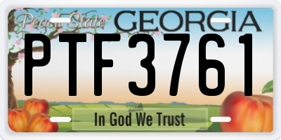 GA license plate PTF3761