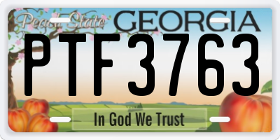 GA license plate PTF3763