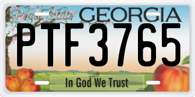 GA license plate PTF3765