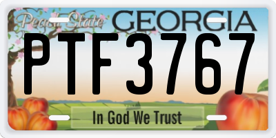 GA license plate PTF3767