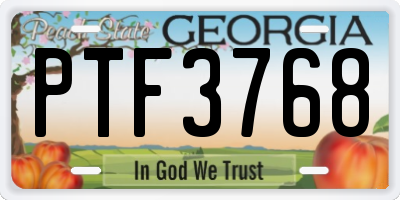 GA license plate PTF3768