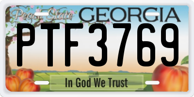 GA license plate PTF3769