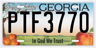 GA license plate PTF3770