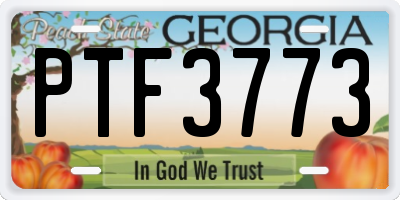 GA license plate PTF3773